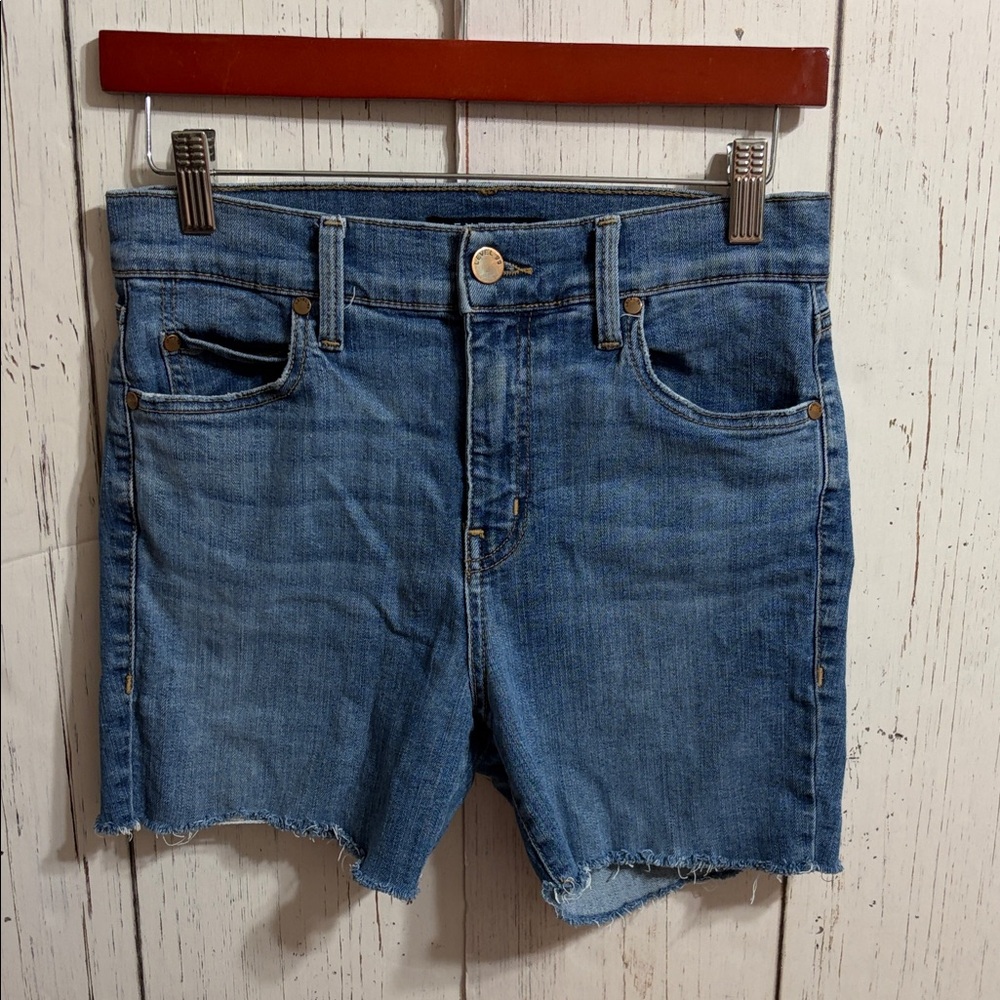 Anthropologie Level 99 Sky Blue Denim Shorts